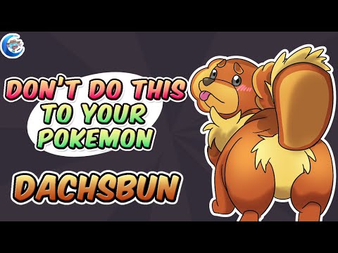 Don't do this to your Pokemon  |  Dachsbun