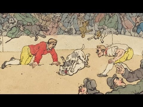 Why Dogs Fight: History of Dog Fighting