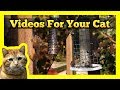 Videos for your Cat - Birds & Squirrels 