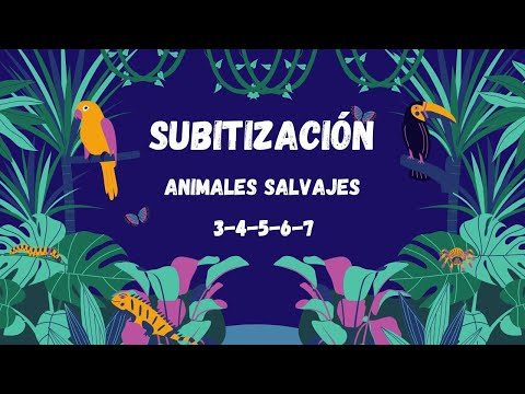 Subitización 3-7 elementos. Animales salvajes.