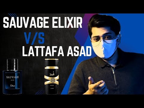 Dior Sauvage Elixir vs Lattafa Asad | Best Budget Clone or Hype? Comparison & Performance Discussed