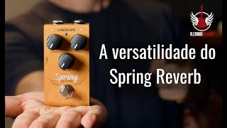 Video thumbnail for Novo Spring Reverb Landscape (Review+Dicas) by Alexandre Almeida