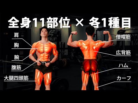各部位1種目だけ選ぶなら…これ一択です