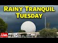 Live A Rainy But Tranquil Tuesday At Epcot Walt Disney World Live Stream 1 9 24