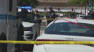 Woman fatally shot during fight in South Loop; offender in custody: police