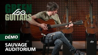 Lâg Sauvage Auditorium - Video