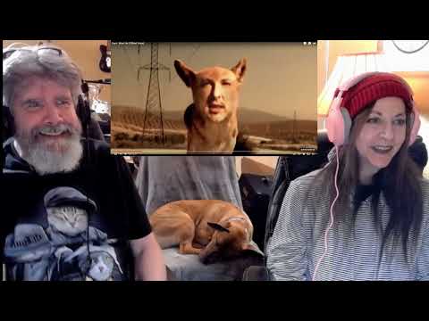 Cameo vs Korn Word Up! Reaction