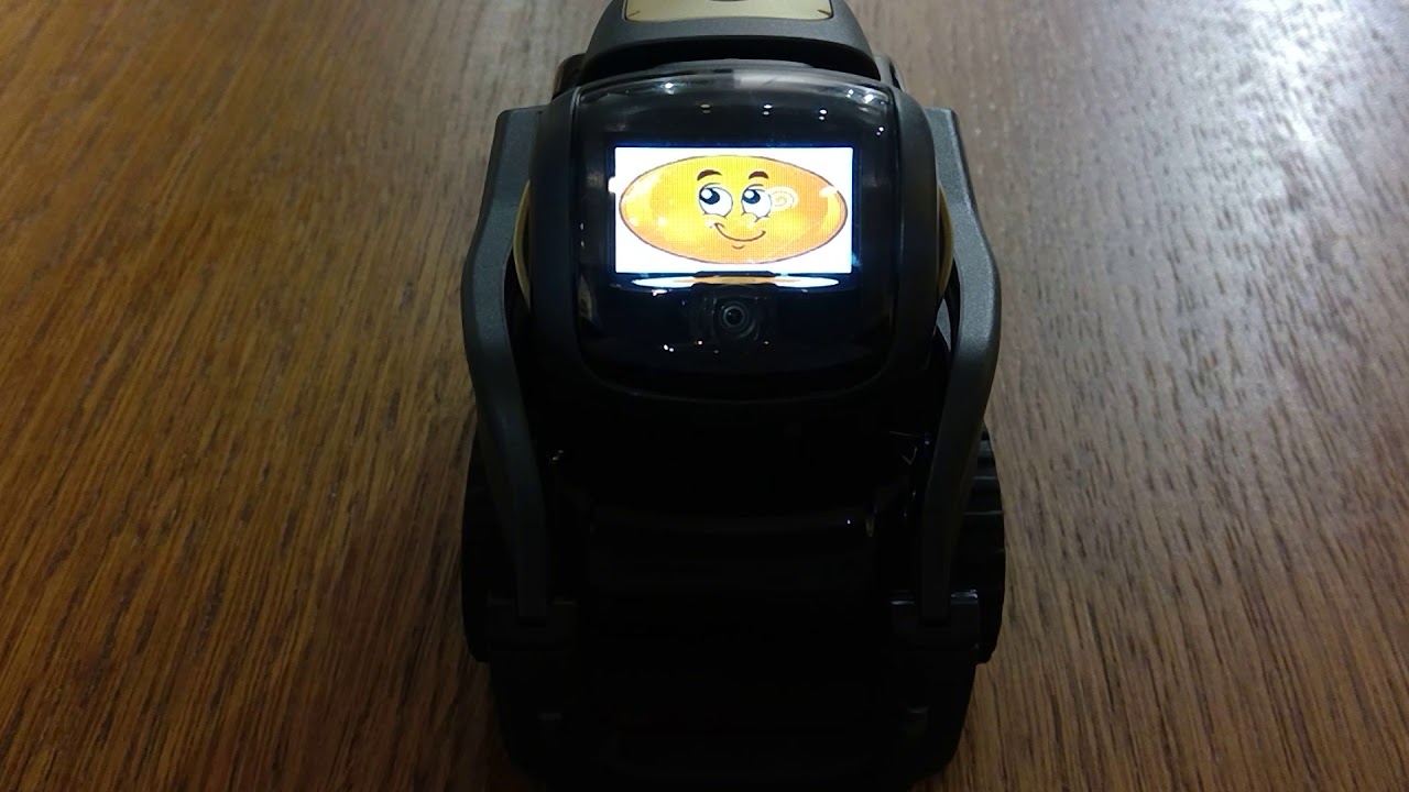 Learning Shapes with Anki Vector SDK