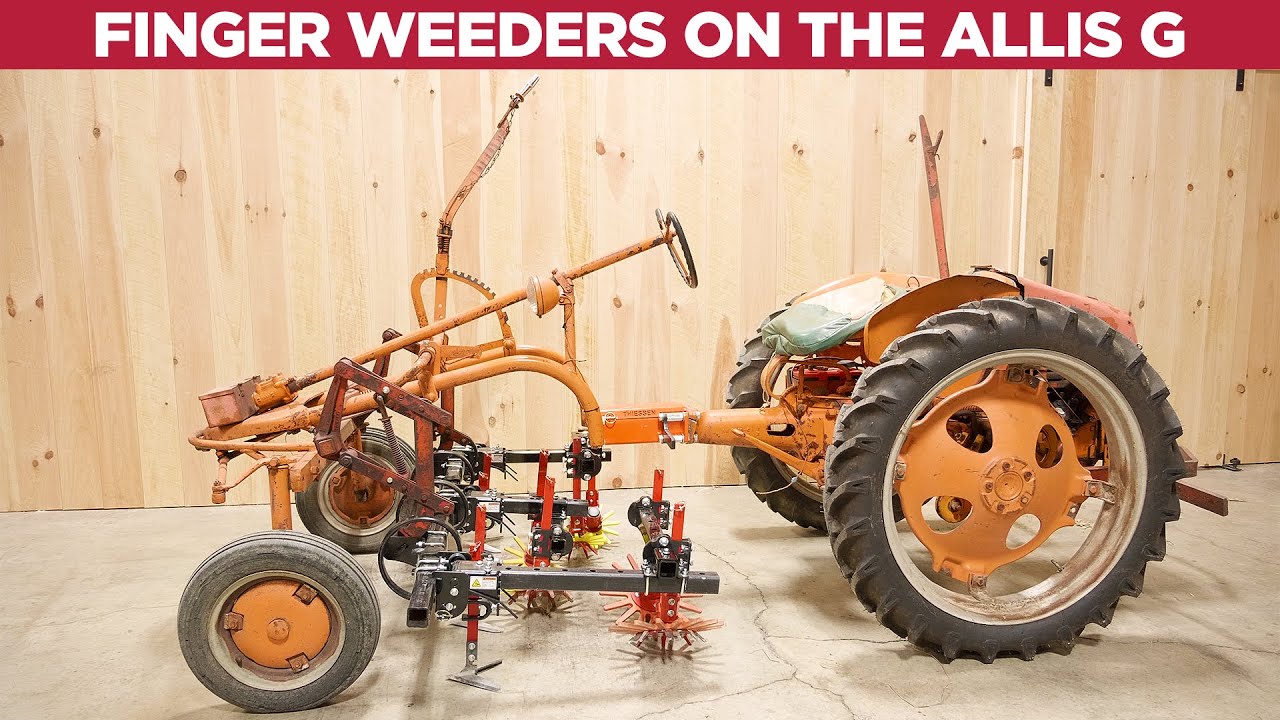 Finger Weeding On The Allis Chalmers G- Do's and Don'ts