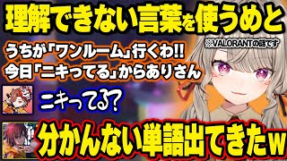 めとの理解できない言葉に困惑する一同、固定砲台化したSqLAの気まずい瞬間に笑ってしまう一同、ありさか先生による当たるヴァンダルスキン紹介【小森めと/ぶいすぽ】