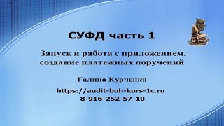 СУФД часть 1, запуск и работа с приложением, создание платежек