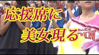 大阪桐蔭アルプス応援席に超絶美人が！甲子園2018夏
