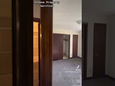 724 Themis - Video 2 of 2