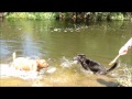 RUDY SWIMMING 4-21-12