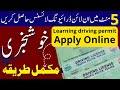 How To Apply For Learner Driving License Online How To Make Driving License Online In Pakistan