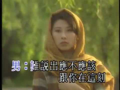 林子祥 George Lam / 葉蒨文 Sally Yeh -《愛到分離仍是愛》Official MV