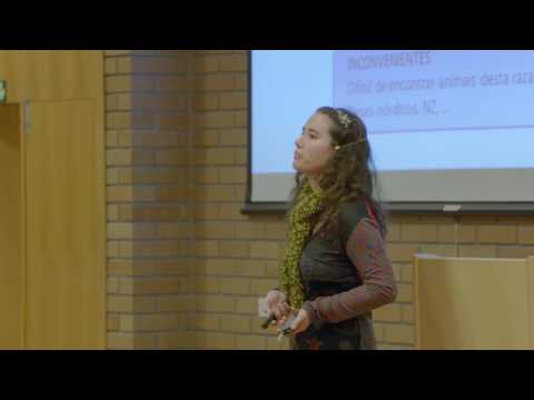 Vídeo: Na procura dunha vaca de leite que se adapte a ecolóxico