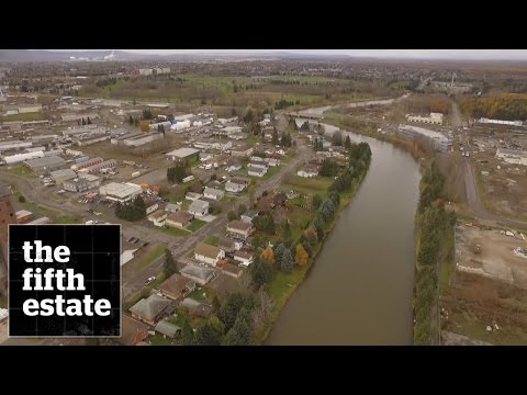 No Foul Play : Death in Thunder Bay - The Case of Stacy DeBungee - the fifth estate