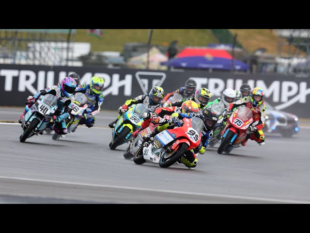 Ver video en YouTube