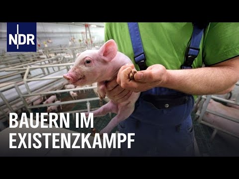 Bauern ohne Lobby: Wem dient der Bauernverband? | Doku | NDR | 45 Min