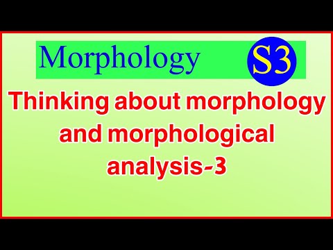 S3-Thinking about morphology and morphological analysis 3