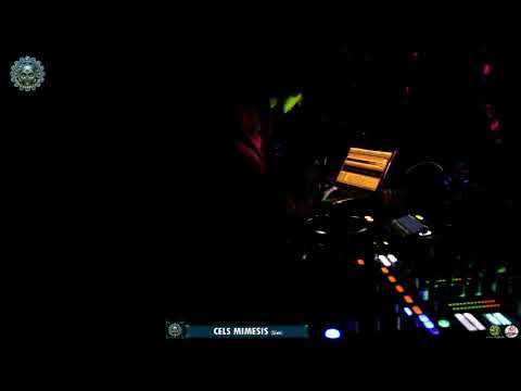 Cels Mimesis Live @ Insomnia Electronic Music Festival 2017 ᴴᴰ