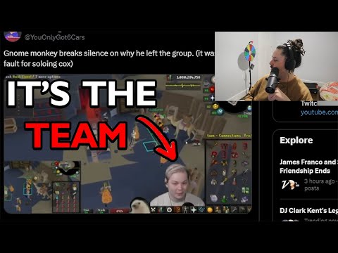 Why Gnomonkey Quit His Group Ironman...