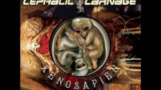 Cephalic Carnage - Hidden Track