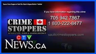 Sault police look to identify Food Basics theft suspect