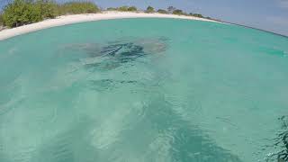 preview picture of video 'Bahía de las Águilas swimming'