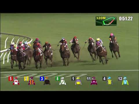 23/6/2021 (776) Classic Posh - H Bentley