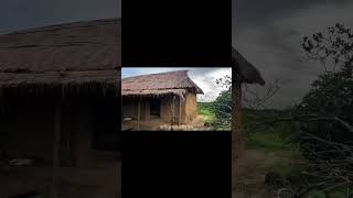 Download lagu ও আমার উড়াল পঙ্খী রে | O Amar Ural Ponkhi Re | Bangla New Cover Song | Rouf Music mp3