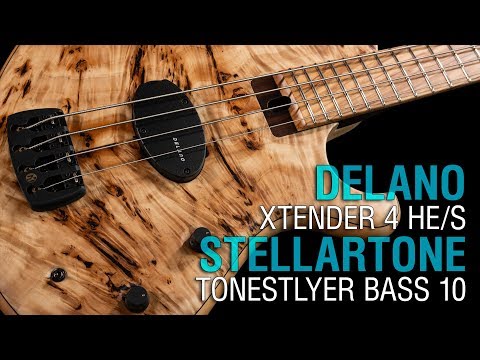 Delano Xtender 4 HE/S + Stellartone Tonestyler Bass 10 // Maruszczyk Frog Omega 4p