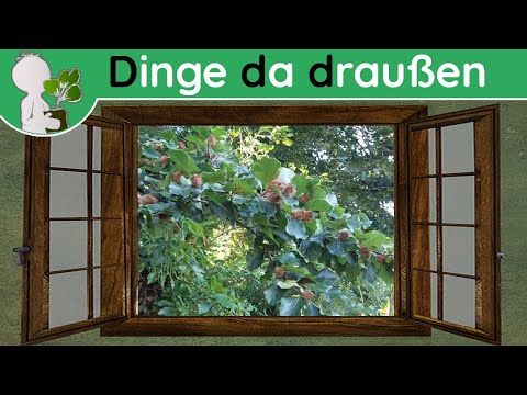 Ddd 056 - Mastjahre - Wildpflanzen & Co (Doku 30. August)