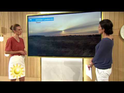 Väderspecial: "Bättre väder nästa vecka" - Nyhetsmorgon (TV4)