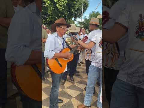 Apresentação da companhia mensageiros de Santos Reis de Palmeiras De Goiás no evento comida de folia