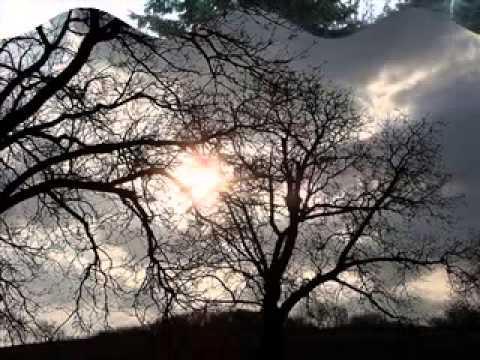 BENONE SINULESCU - IONICA- ROMANTA