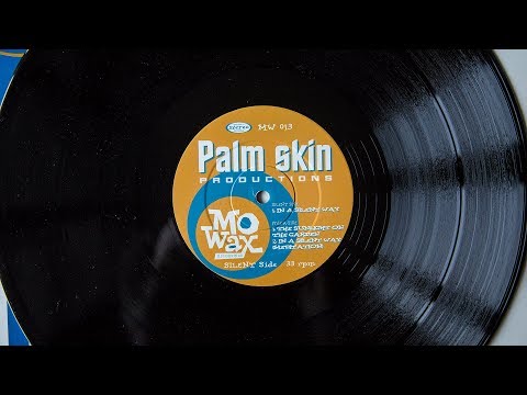 Palm Skin Productions - The Sunlight On The Garden (vinyl)