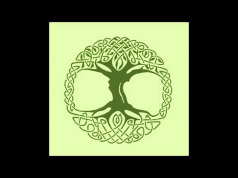 I Have No Time - Bert Jansch