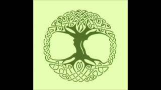 I Have No Time - Bert Jansch