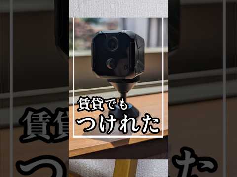 Canary Flex: フレキシブル監視カメラの表示