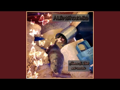 Charlene Hart (feat. Timmy T.)