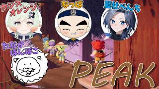 初コラボPEAK！【PEAK】カシスオレンジ