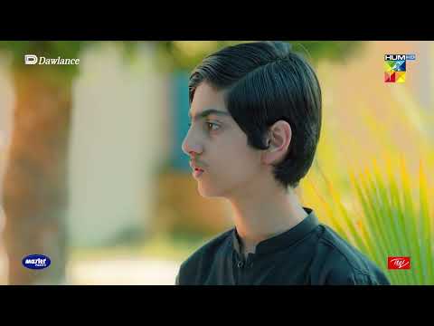 Hilmand Ne Sabz Ali Ko Kiun Mara ?? - Sang e Mah - HUM TV