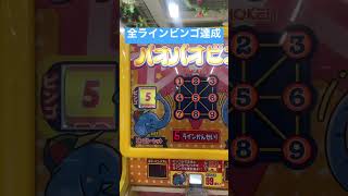 パオパオビンゴで全ラインビンゴの払い出し枚数がヤバすぎた！！