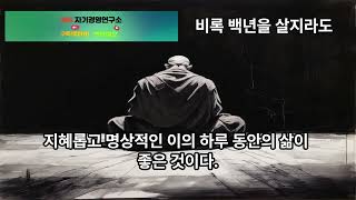 5분명상-법구경 술천품述千品 13장.#유투브,#음악,#마음,#힐링,#치유,#명상,#종교,#철학,#기도,#수면,#공부,#집중,#일,#자유,#행복,#독서,#세계,#여행,#책,#인생