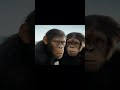 Kingdom Of The Planet Of The Apes Official Trailer Trailer Shorts
