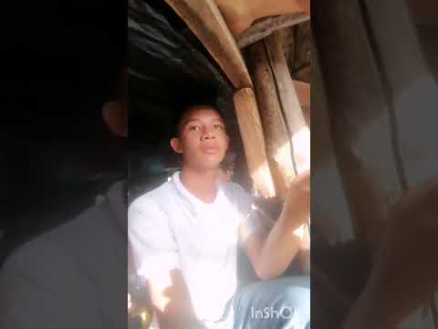 UN LUNES FESTIVO DE CORRALEJAS EN ARJONA BOLIVAR #viral #toros_bravos 