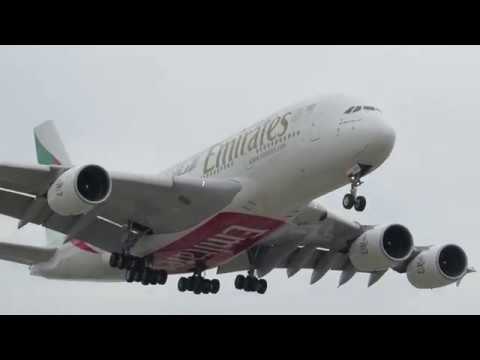 Ek 215 Flight Status
