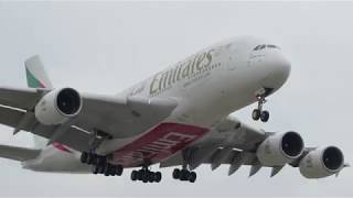 EK215 A388 A6-EEH